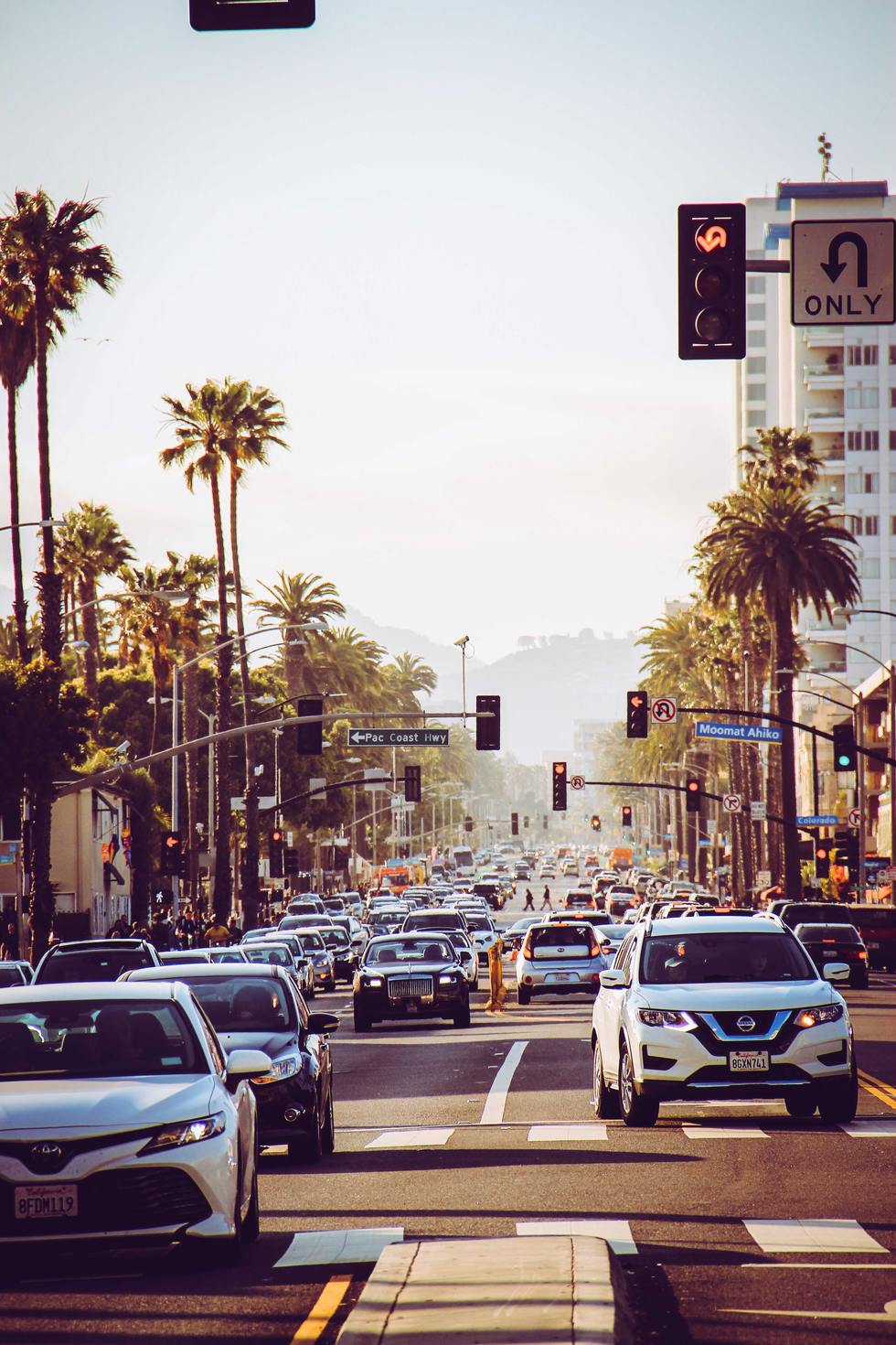 Los Angeles, palm, street, HD phone wallpaper