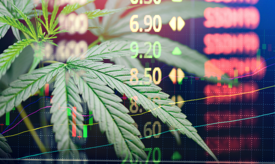 the Future of Cannabis and Hemp Business Growth