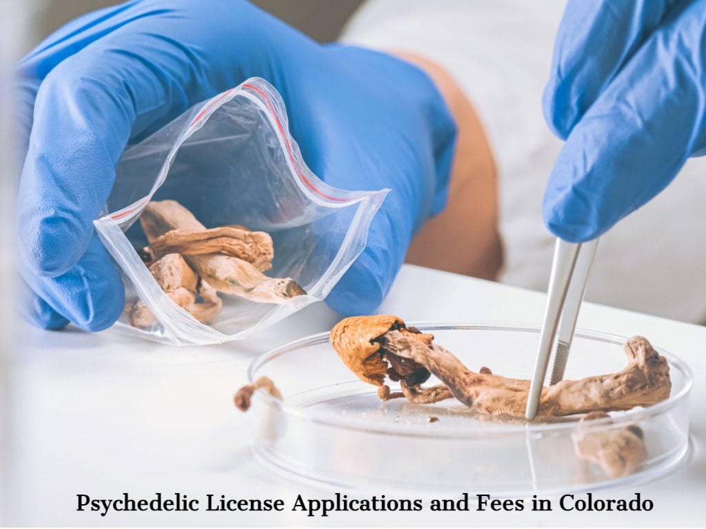 Psychedelic License Applications and Fees in Colorado.jpg