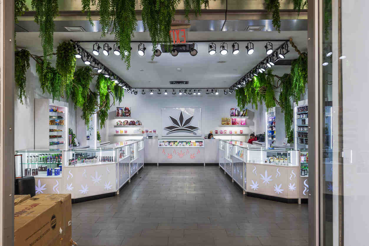 Modern cannabis dispensary business