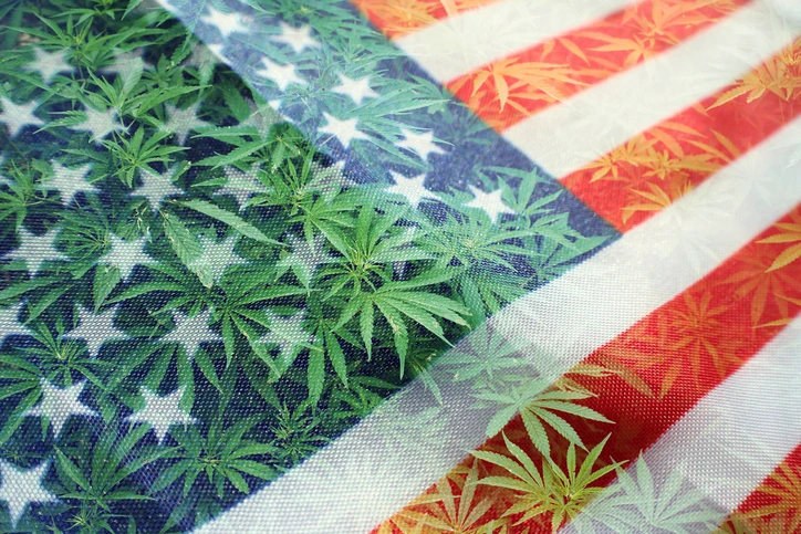 Mid Year Canabis Policy Update