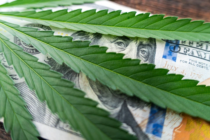 Mid-Year Update on California Cannabis Bills