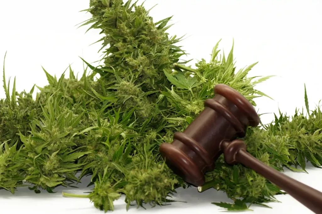 Federal Hemp Law in 2026 for Business