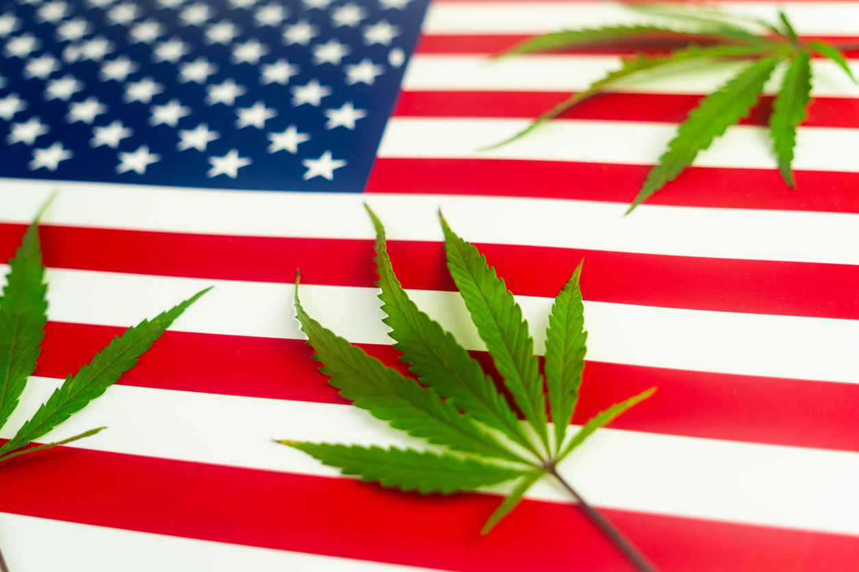 Cannabis Industry Venture Capital Attorney in California
