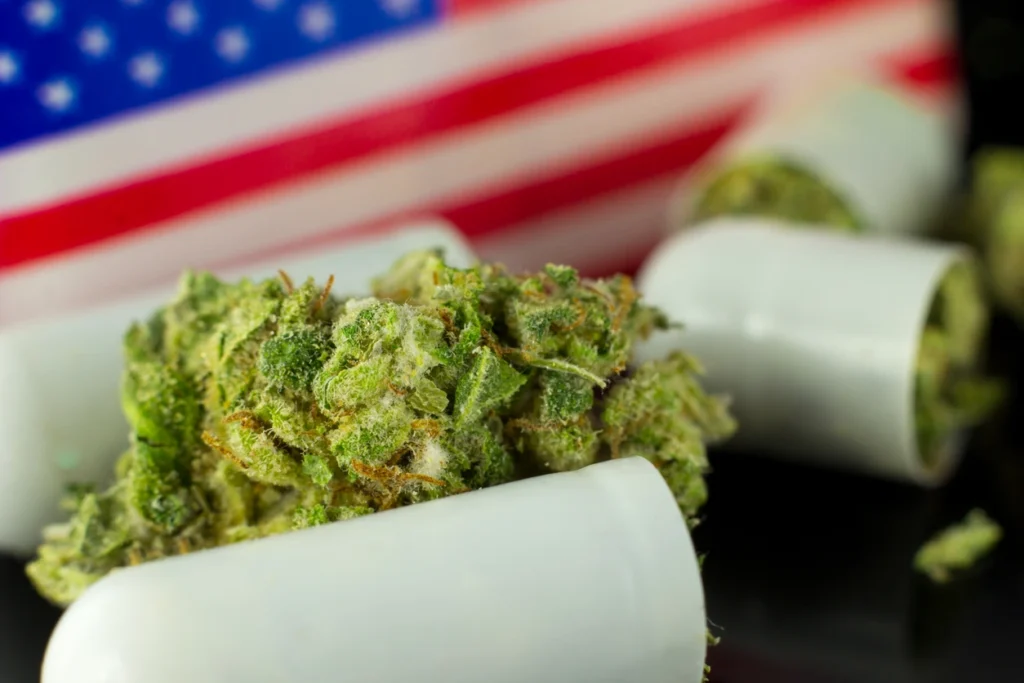 Medical marijuana activity operating within the DEA registration system