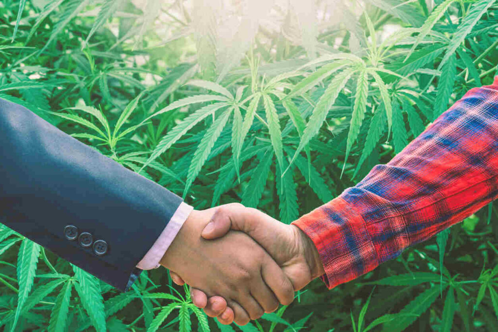 Cannabis Business Sales