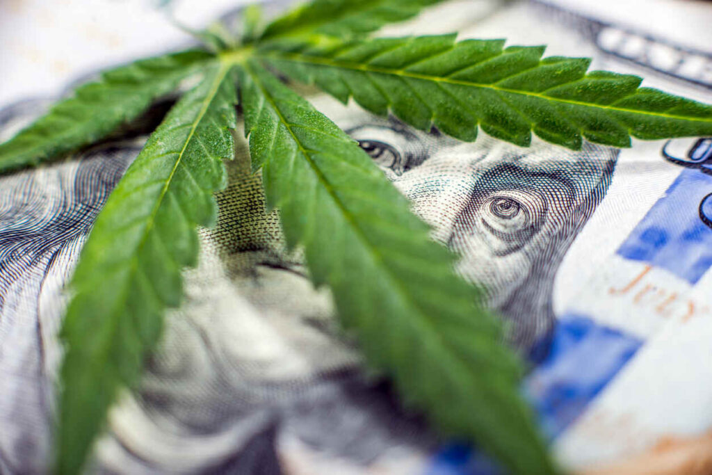 California Cannabis Business